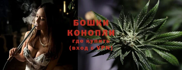 дмт Белокуриха