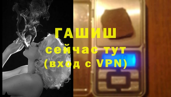 дмт Белокуриха