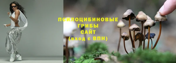 ECSTASY Белоозёрский