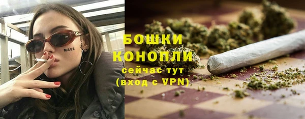 дмт Белокуриха